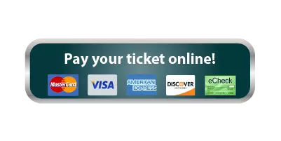 pay online button